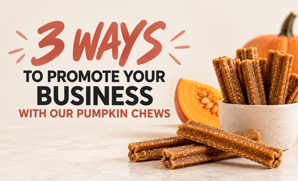 3 Creative Ways Pet Businesses Can Use Pumpkin Chews This Fall – The ...