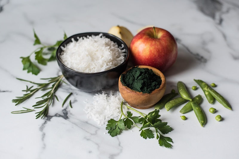 The Benefits of Each Ingredient for Dogs